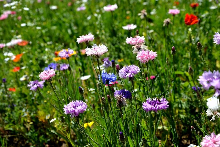 Beekeepx/Shutterstock.com