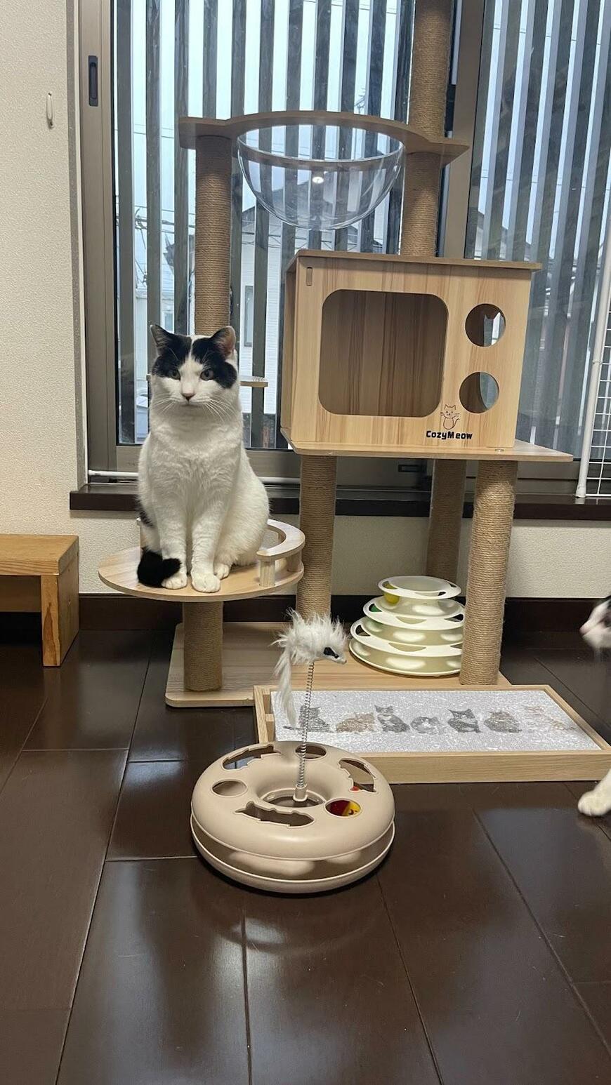 かわいい立ち姿