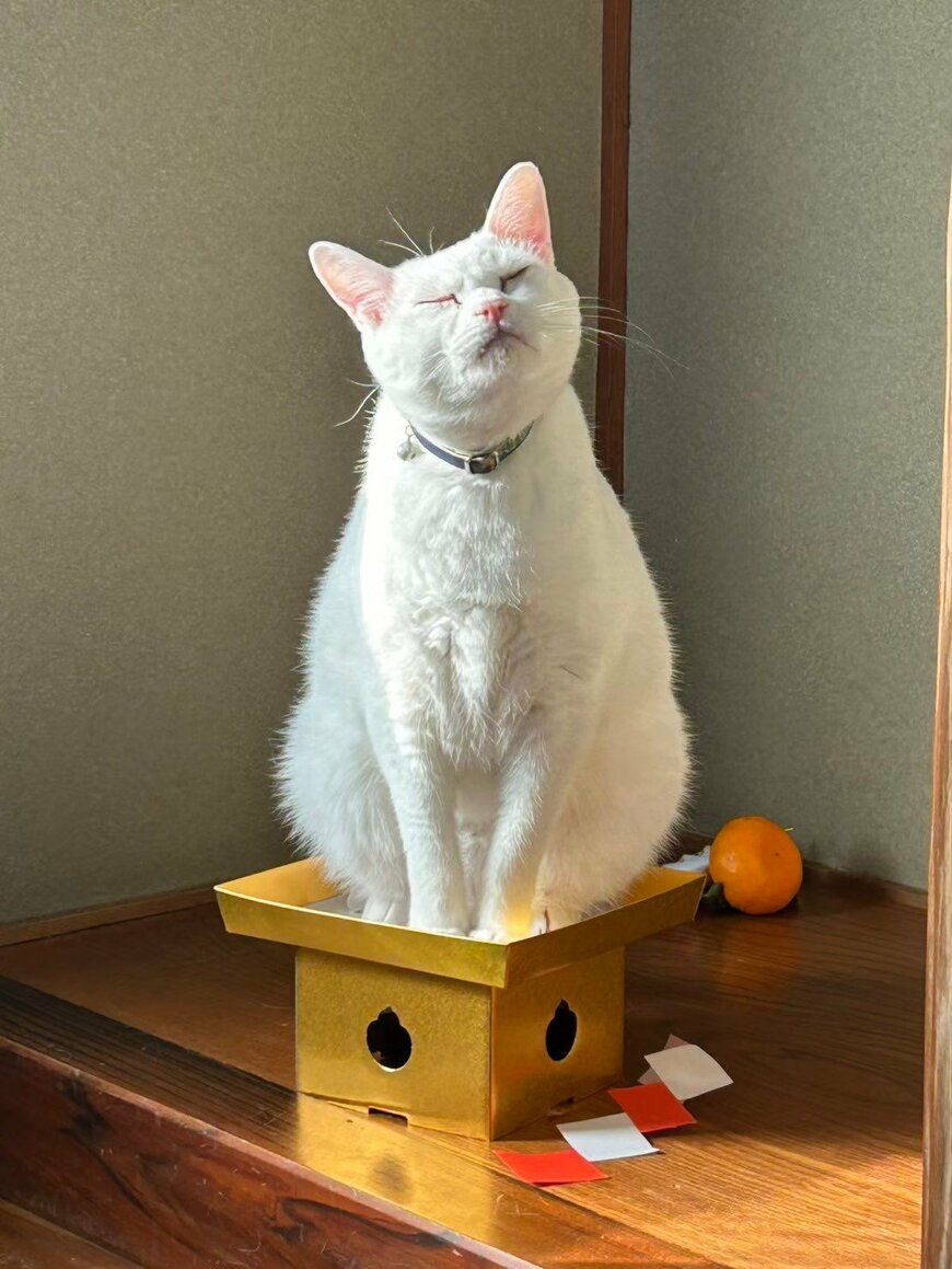 ここは私の場所にゃ!