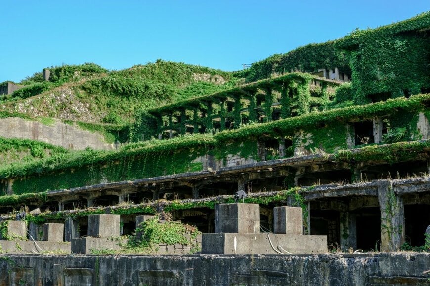 植物に覆われた北沢浮遊選鉱場