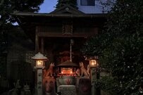 散歩中に立ち寄った猫塚で「お参りする生物」に遭遇　ジブリ映画のような「物語性を感じる光景」に目を疑う