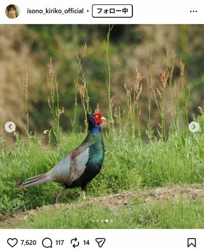 磯野貴理子のInstagram投稿