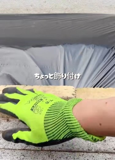 投稿動画のワンシーン