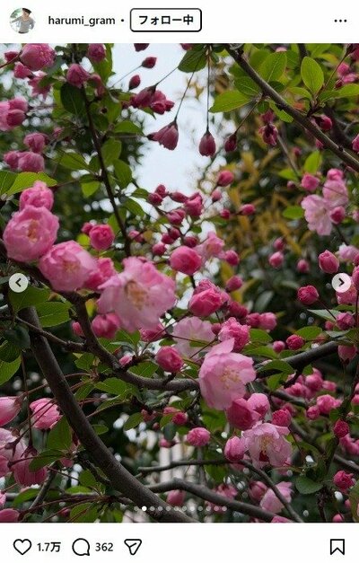 栗原はるみのInstagram投稿