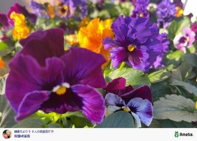 假屋崎省吾の公式ブログ投稿