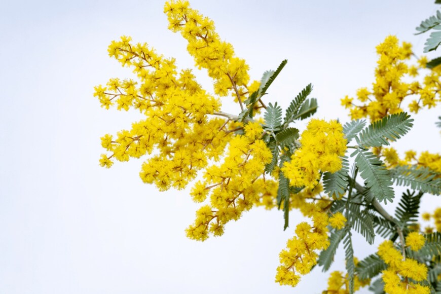 Billy_Fam/istockphoto.com