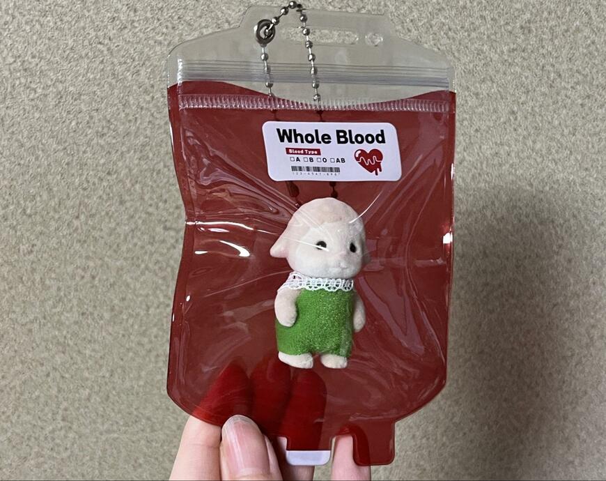 筆者撮影（セリア、PVCジップバッグ チェーン付き ブラッドバック）