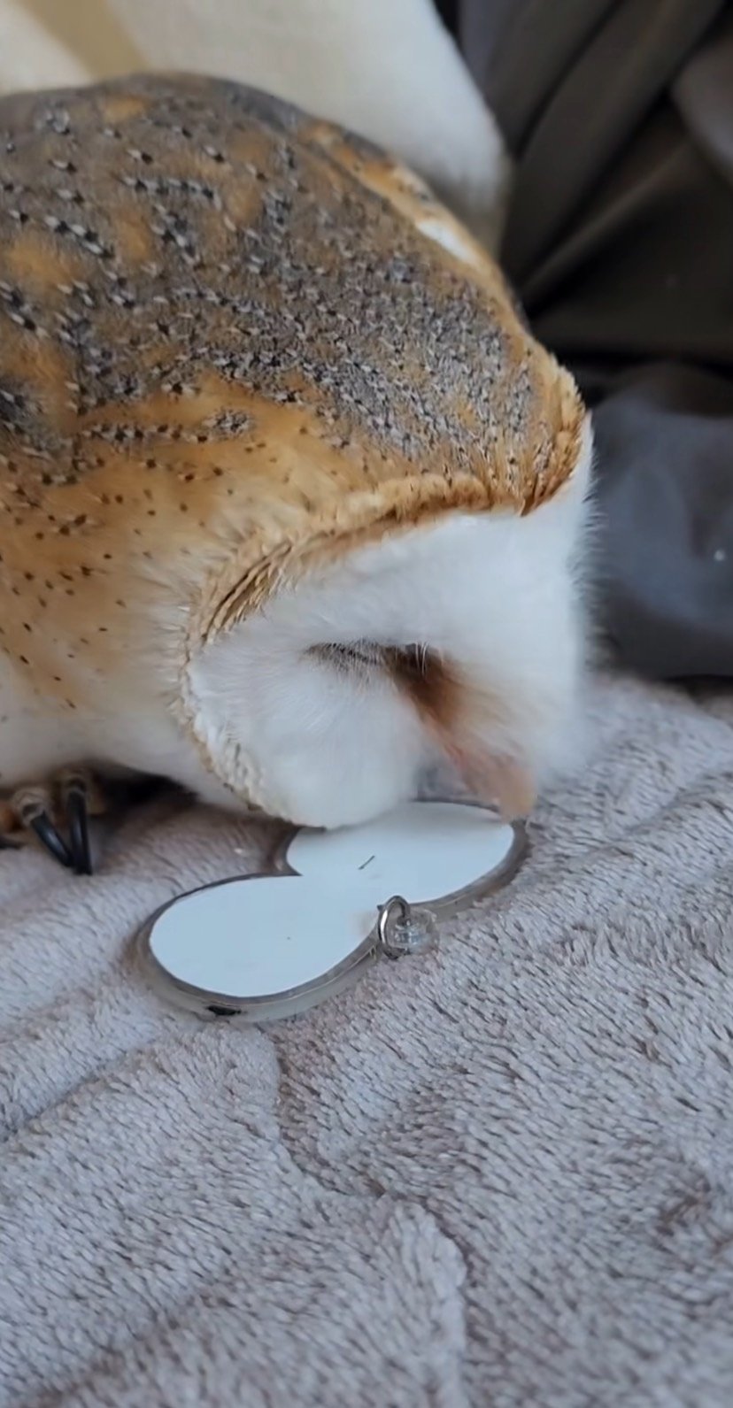 出所：@miki4wan108