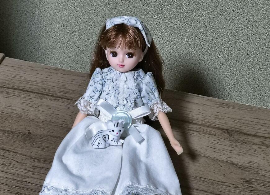 筆者撮影（ダイソー、にゃんことおうち）