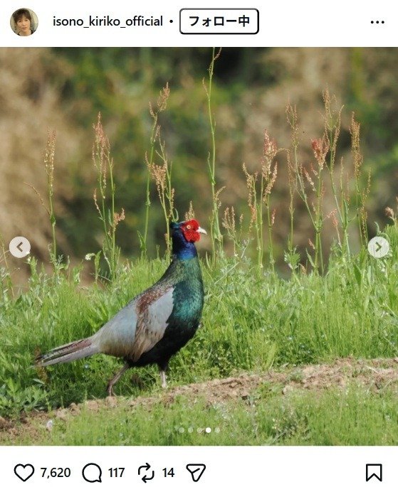 出所：磯野貴理子のInstagram（＠isono_kiriko_official）　参照日：2026年4月24日