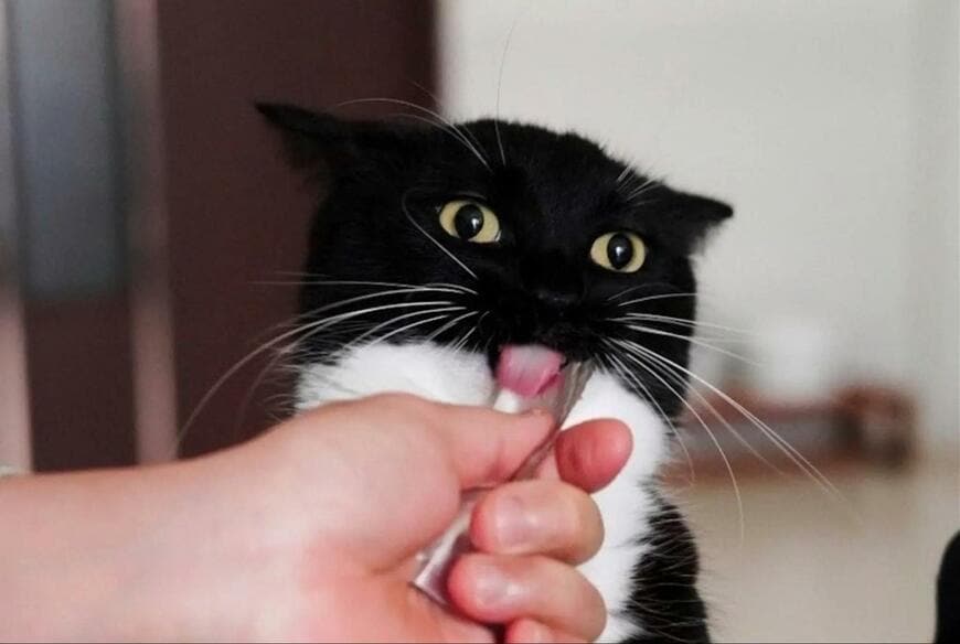 出所：@unicouniuni3