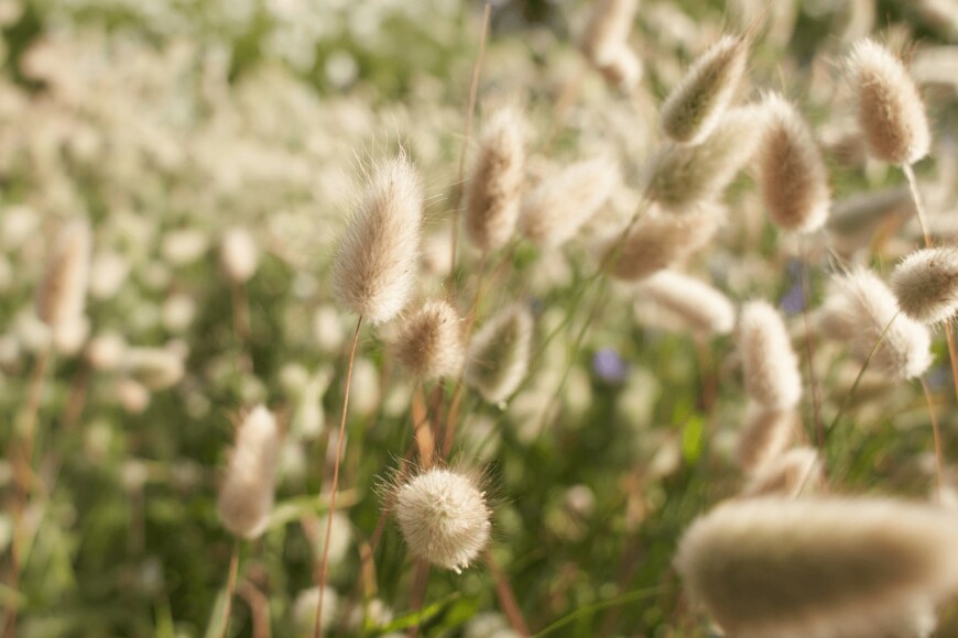 Irene Fox/istockphoto.com