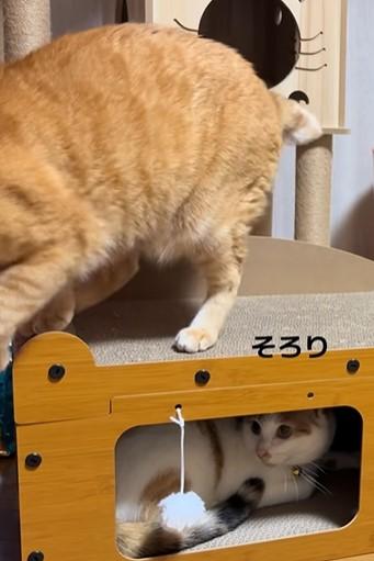 出所：@karintoteacher