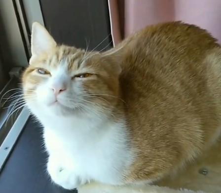 出所：@mero627puri914