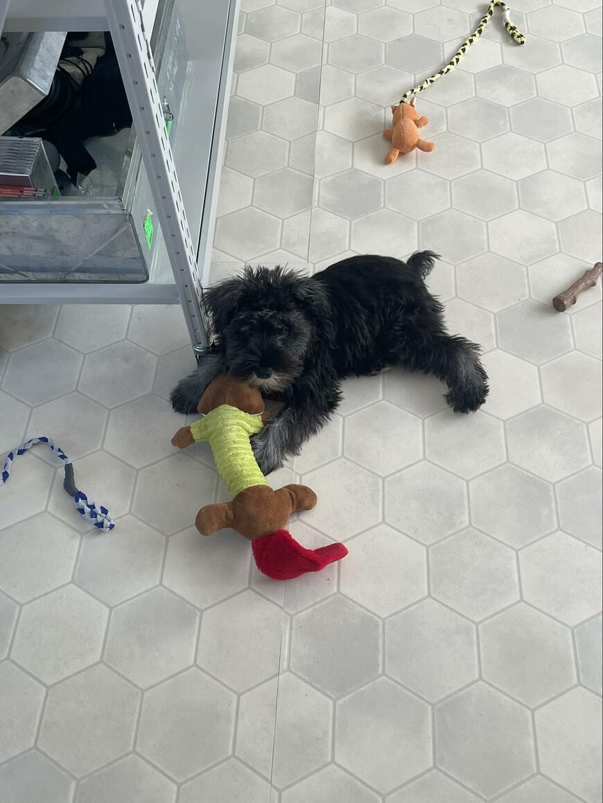 出所：@seven__schna