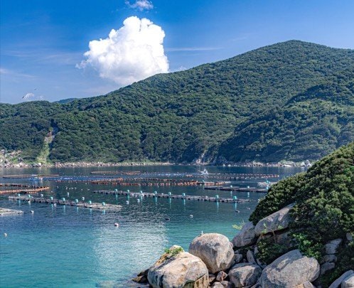 高知県・柏島で撮影された「海のグラデーション」　透き通る青い海に「美しい～！」「行ってみたい」