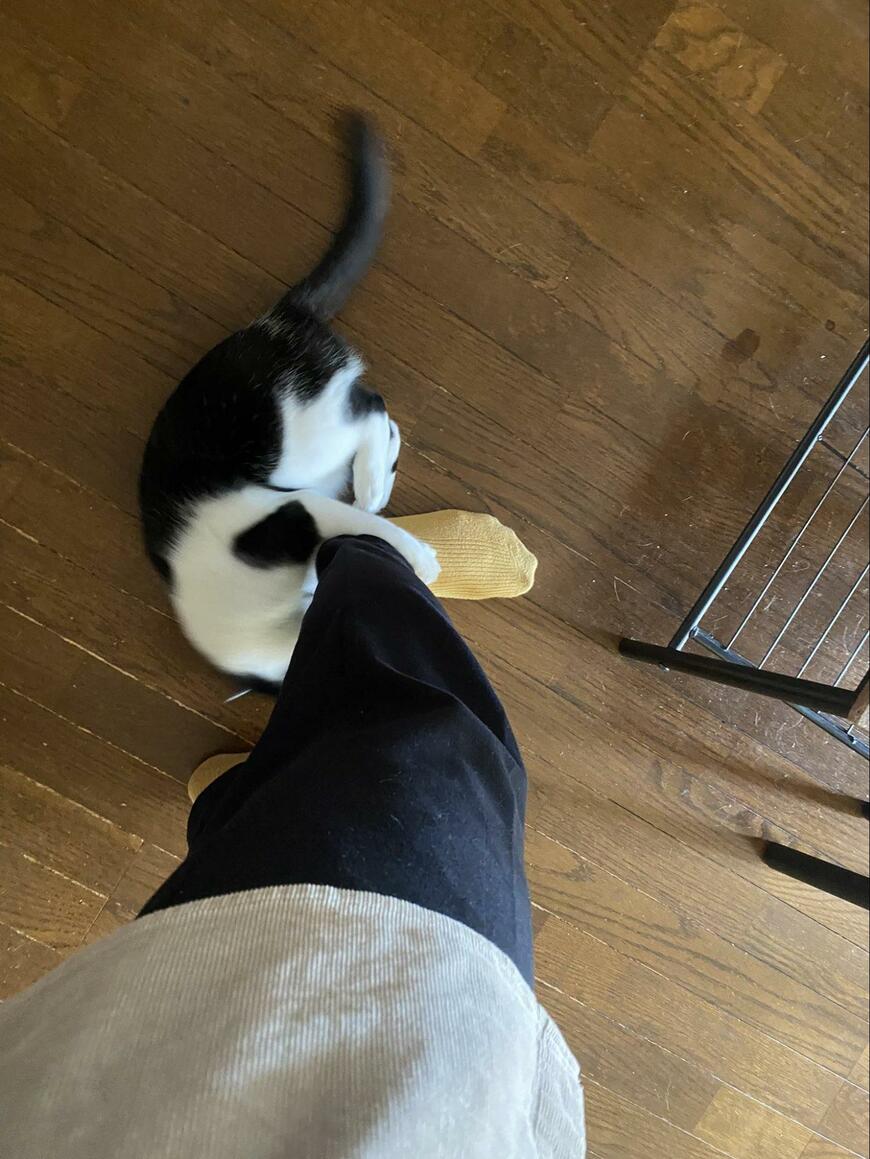 出所：@00shitemita 