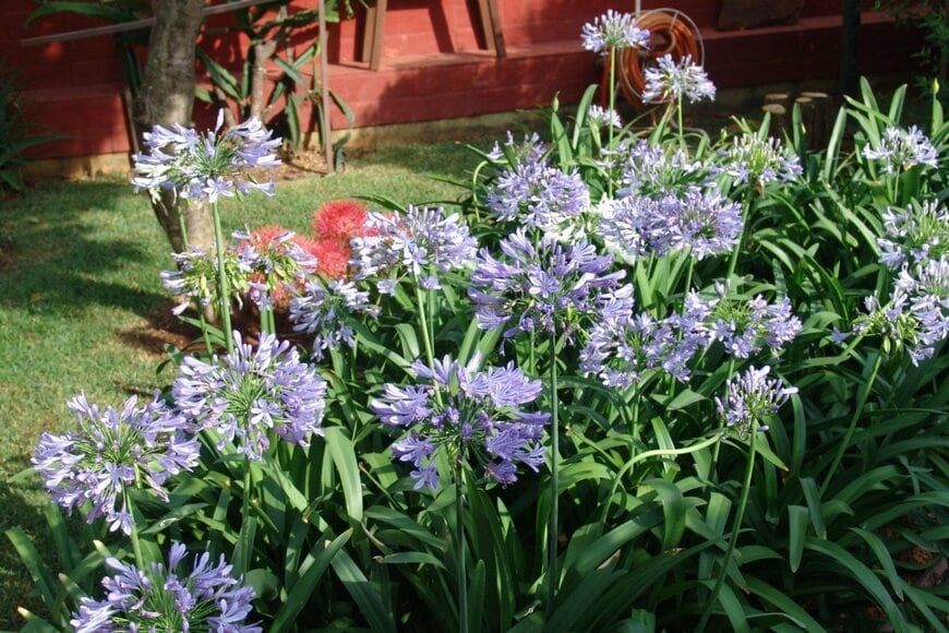 JPBENETT/shutterstock.com