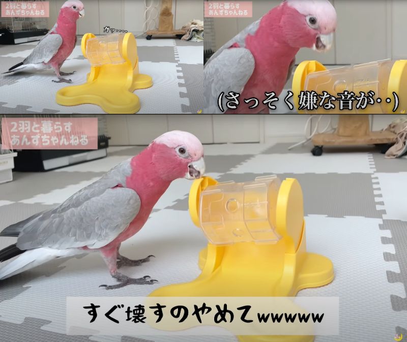 出所：@anz_omomiri