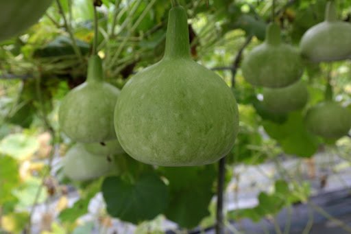 YPhotoland/shutterstock.com