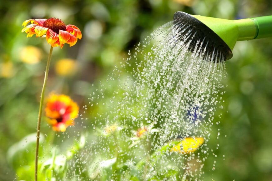 Alexander Raths/shutterstock.com