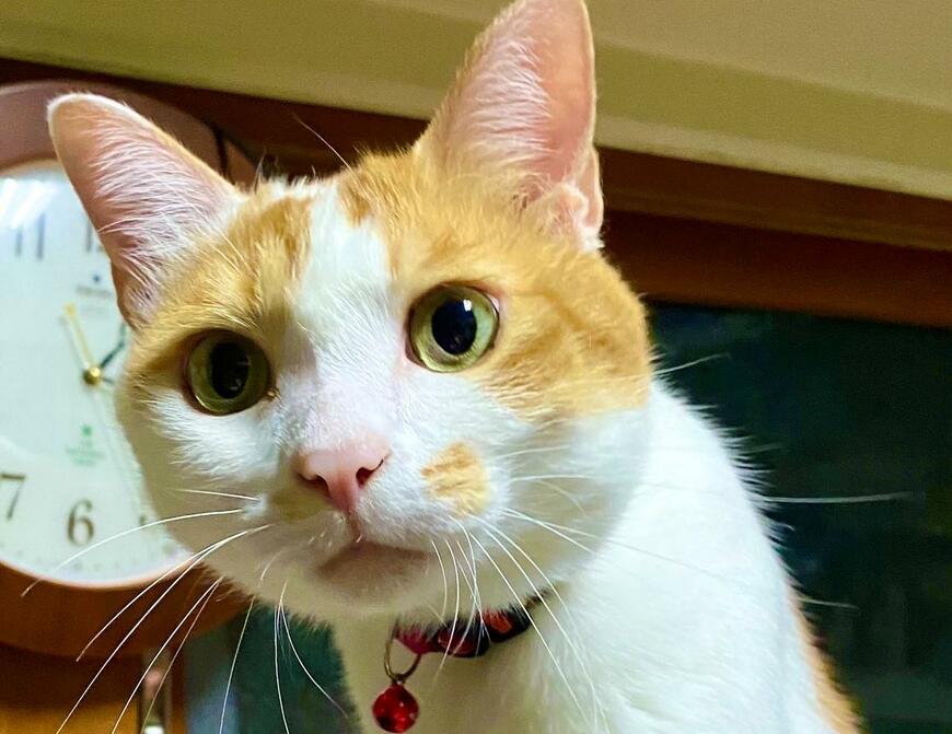 出所：@luna7taka9