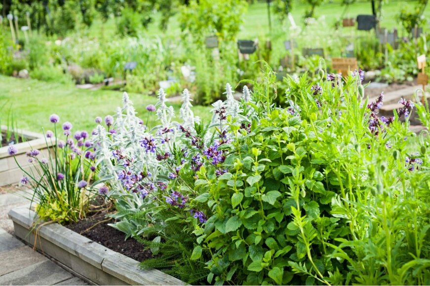 JoannaTkaczuk/shutterstock.com