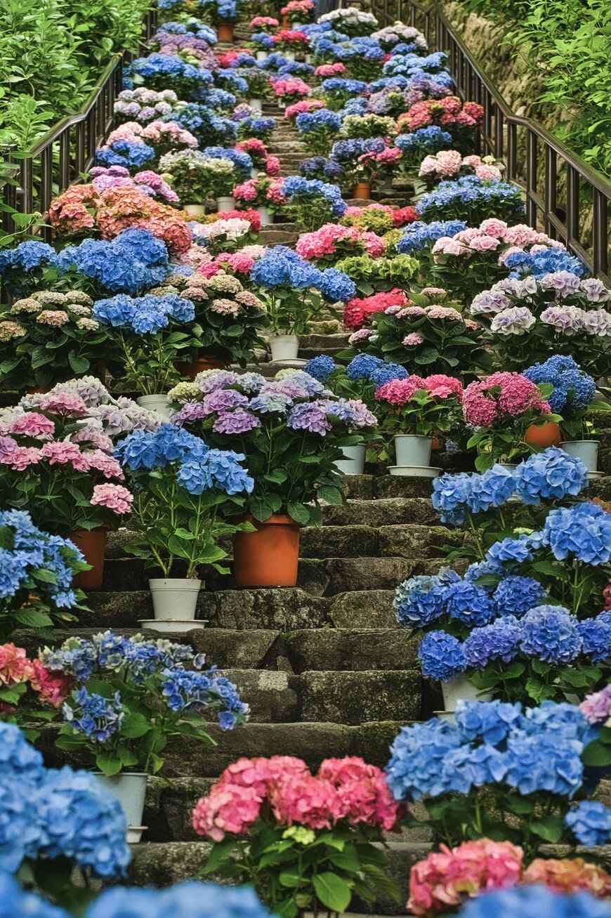 画像出所：@a_yumi0425