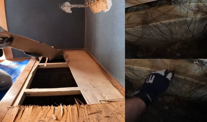 出所：@shirotani.D