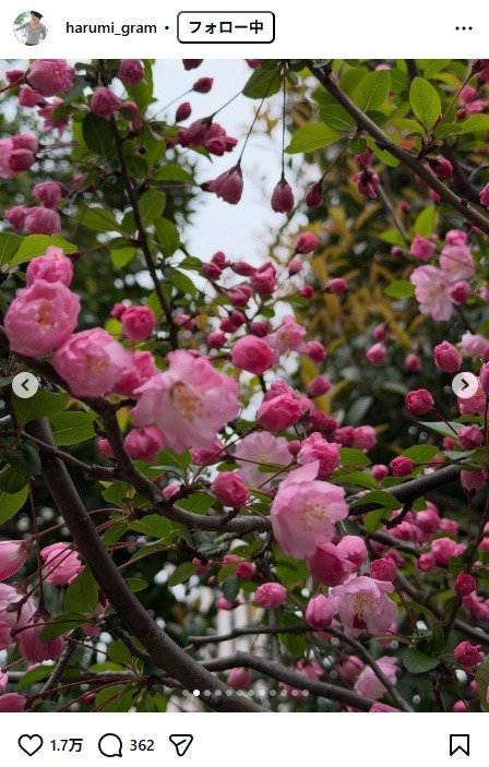 出所：栗原はるみのInstagram（＠harumi_gram） 参照日：2026年3月31日