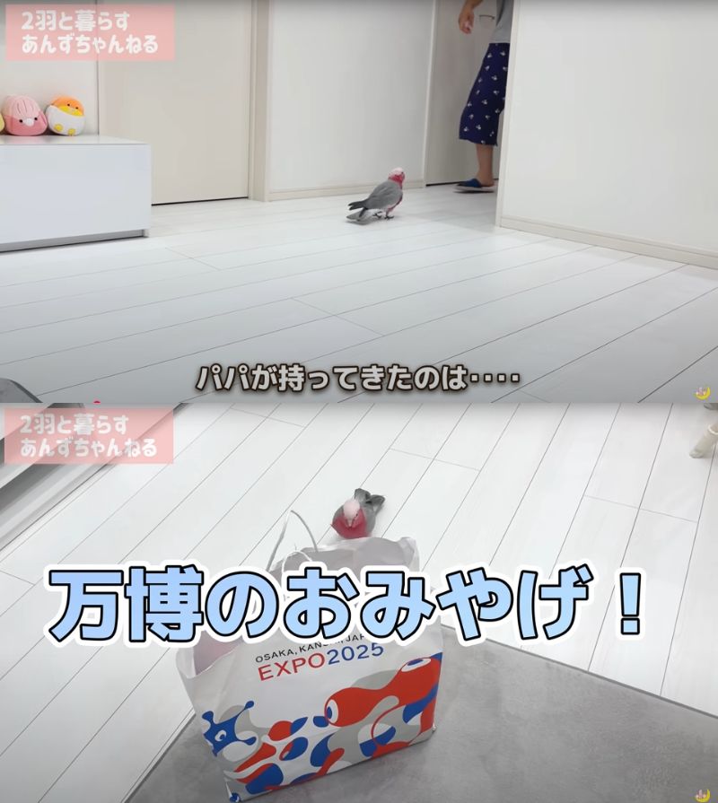 出所：@anz_omomiri