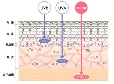 出所：AOKI　キンセキカット日傘 晴雨兼用 黒