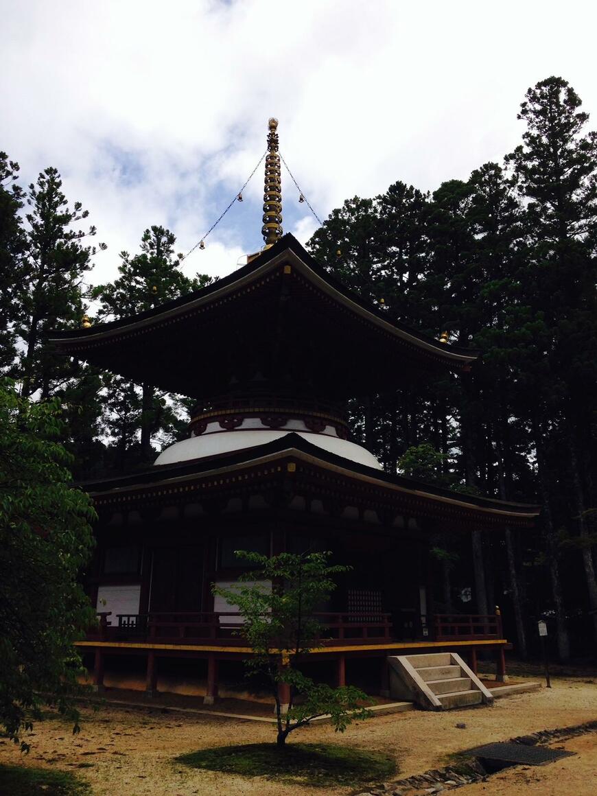 写真：筆者撮影