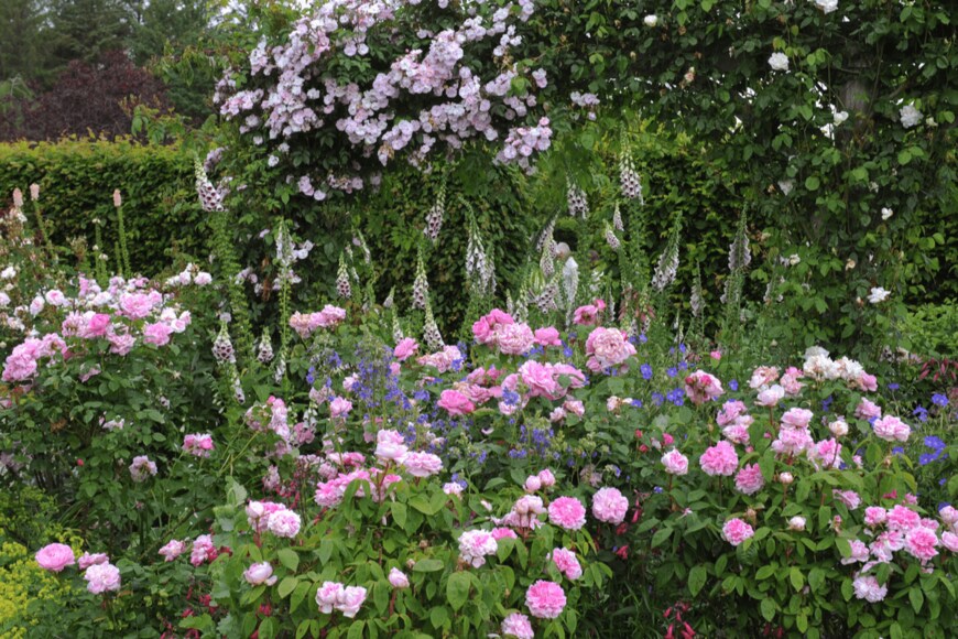 Peter Turner Photography/shutterstock.com