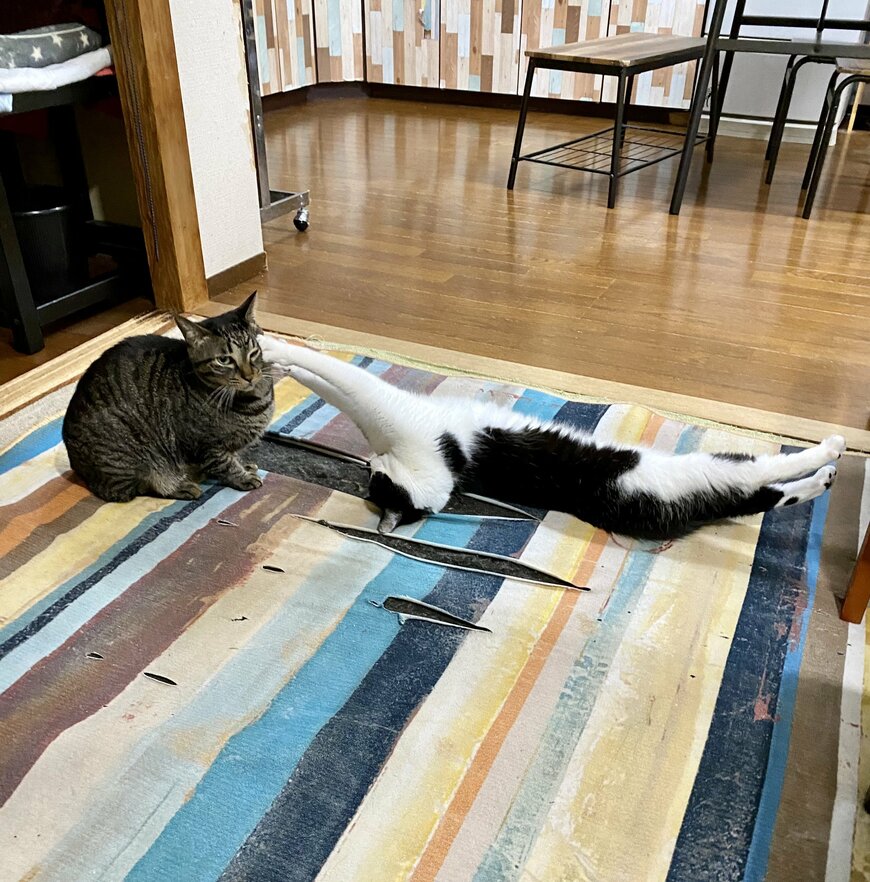 出所：@00shitemita 