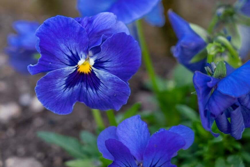 Martin Hibberd/shutterstock.com