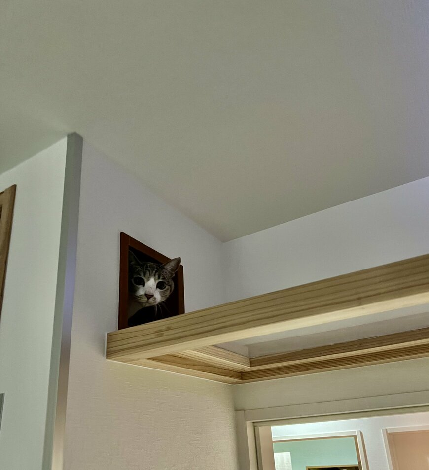 出所：@omochi_nam01