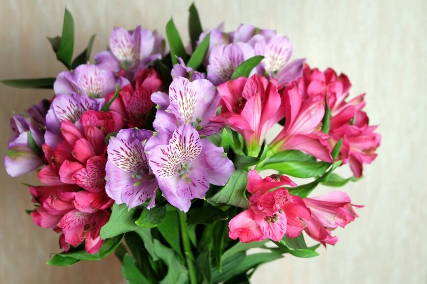 OllgaP/istockphoto.com