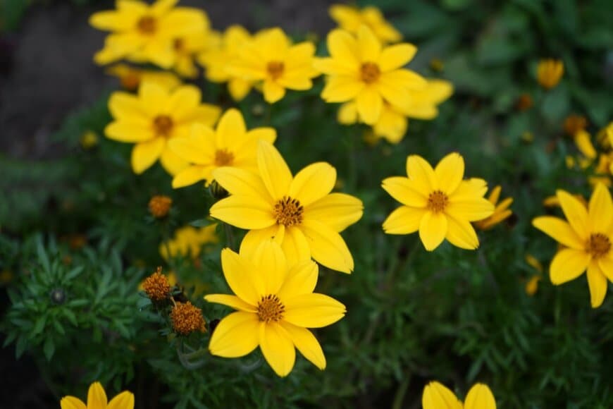 crystaldream/shutterstock.com