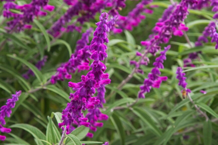 sasimoto/istockphoto.com