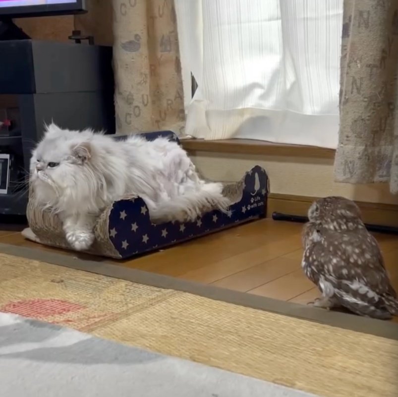 出所：@cr8673.hiro