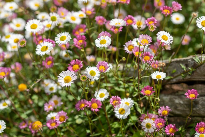 Tom Meaker/shutterstock.com