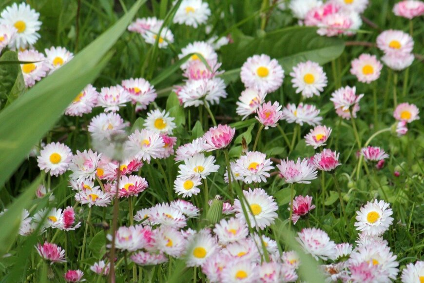 kazakovmaksim/istockphoto.com