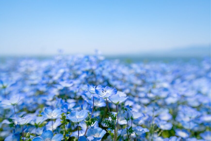 Karan_Colon/shutterstock.com