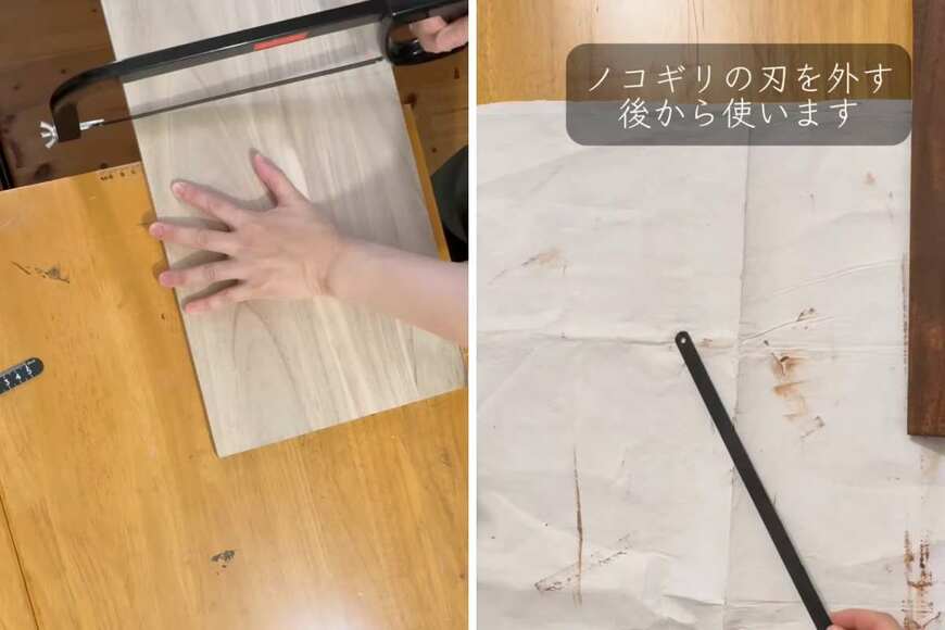 投稿の画像