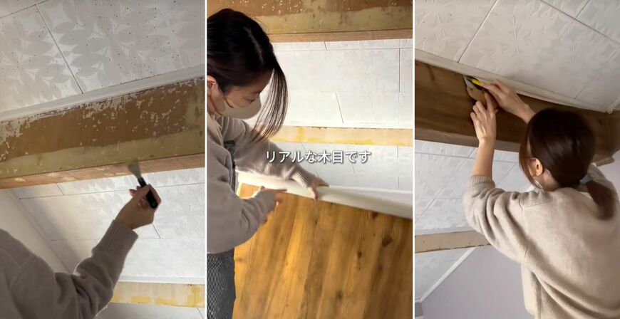 投稿の画像