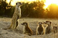 国民年金・厚生年金は月平均いくらかを最新データから男女別にチェック