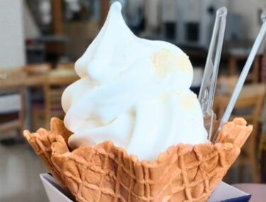 長野県の道の駅で食べる「大豆のソフトクリーム」！ ミルキーな甘さと