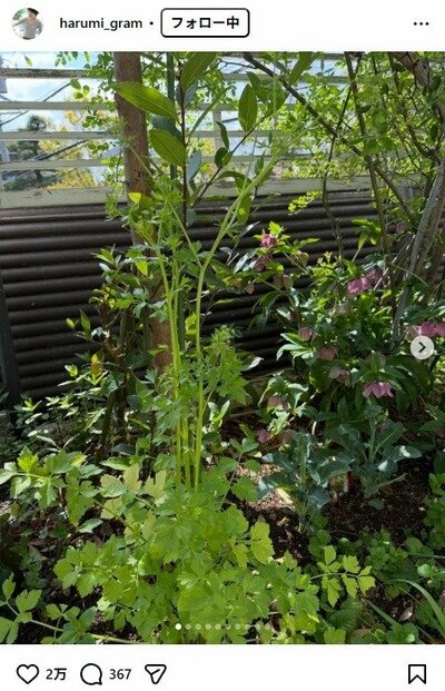 栗原はるみのInstagram投稿