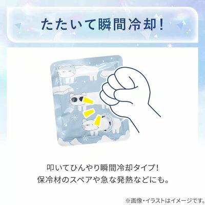 出所：ニトリ公式通販 ニトリネット 急速保冷剤 3点セット(デコネコ)